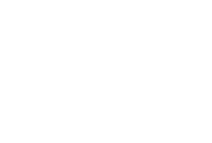 DWP-Logo